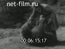 Footage frame