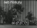 Footage frame