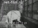 Footage frame