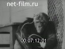 Footage frame