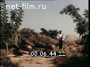 Footage frame