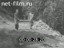Кадр видео