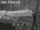 Кадр видео