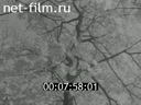 Footage frame