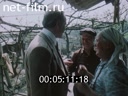 Кадр видео