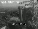 Кадр видео