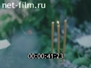Кадр видео