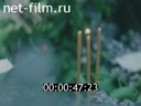 Кадр видео