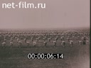 Footage frame