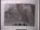 Footage frame