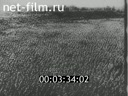 Footage frame
