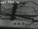 Footage frame