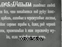 Кадр видео
