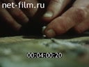 Footage frame