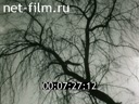 Footage frame