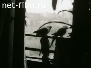 Movie The Soviet Ciurcus. (1990)