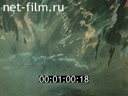 Footage frame