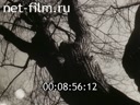 Footage frame