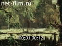 Footage frame