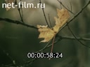 Footage frame