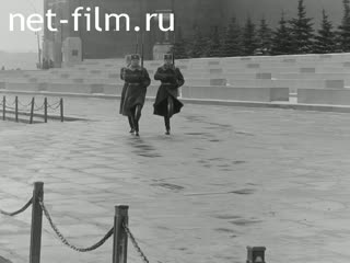 Newsreel On the wide Volga №15 (1981)