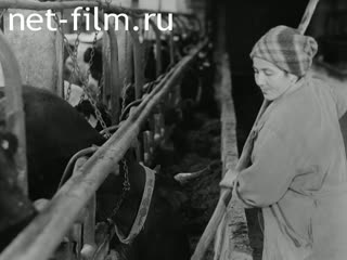 Newsreel On the wide Volga №16 (1985)