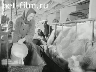 Newsreel On the wide Volga №4 (1986)