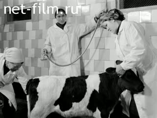 Newsreel On the wide Volga №3 (1978)