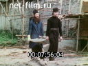 Кадр видео