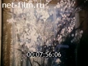 Footage frame