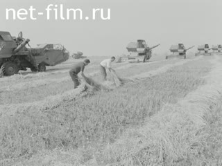 Киножурнал На Волге широкой №30 (1981)