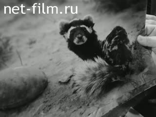 Киножурнал На Волге широкой №8 (1990)