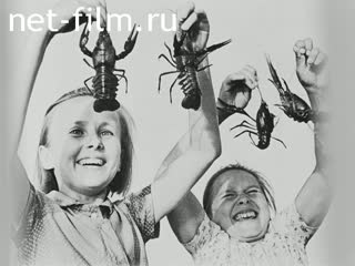 Киножурнал На Волге широкой №16 (1982)