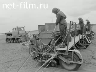 Киножурнал На Волге широкой №28 (1982)