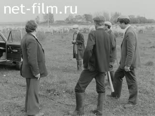 Киножурнал На Волге широкой №29 (1983)