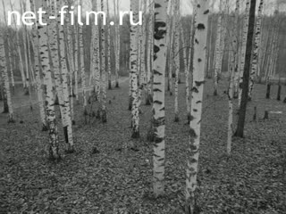 Киножурнал На Волге широкой №30 Сеансы Павла Измалкова. (1990)