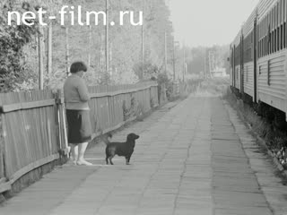 Киножурнал На Волге широкой №24 О кирпиче замолвите слово. (1990)