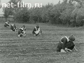 Newsreel On the wide Volga №25 (1984)