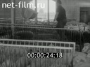 Footage frame