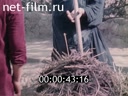 Кадр видео