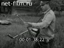Кадр видео