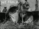 Footage frame