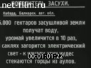 Кадр видео