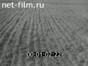 Footage frame