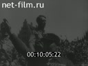 Footage frame