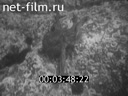 Footage frame