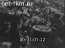 Footage frame