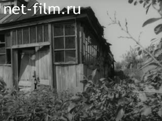 Киножурнал На Волге широкой №17 (1991)