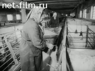 Киножурнал На Волге широкой №10 (1993)