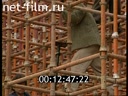 Footage frame